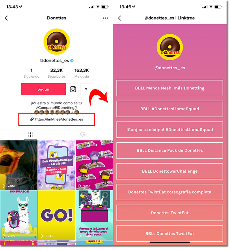 ejemplo de link en TikTok