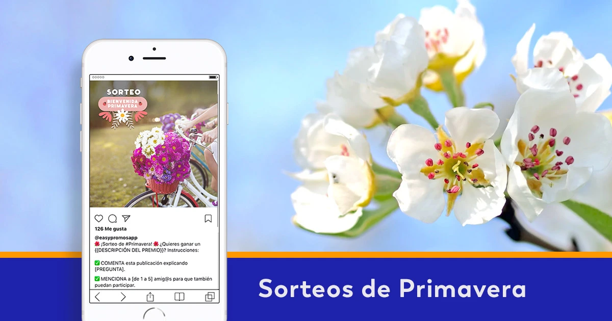 plantillas de sorteos